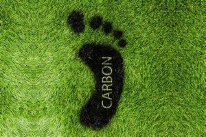Reduce Carbon Footprint image