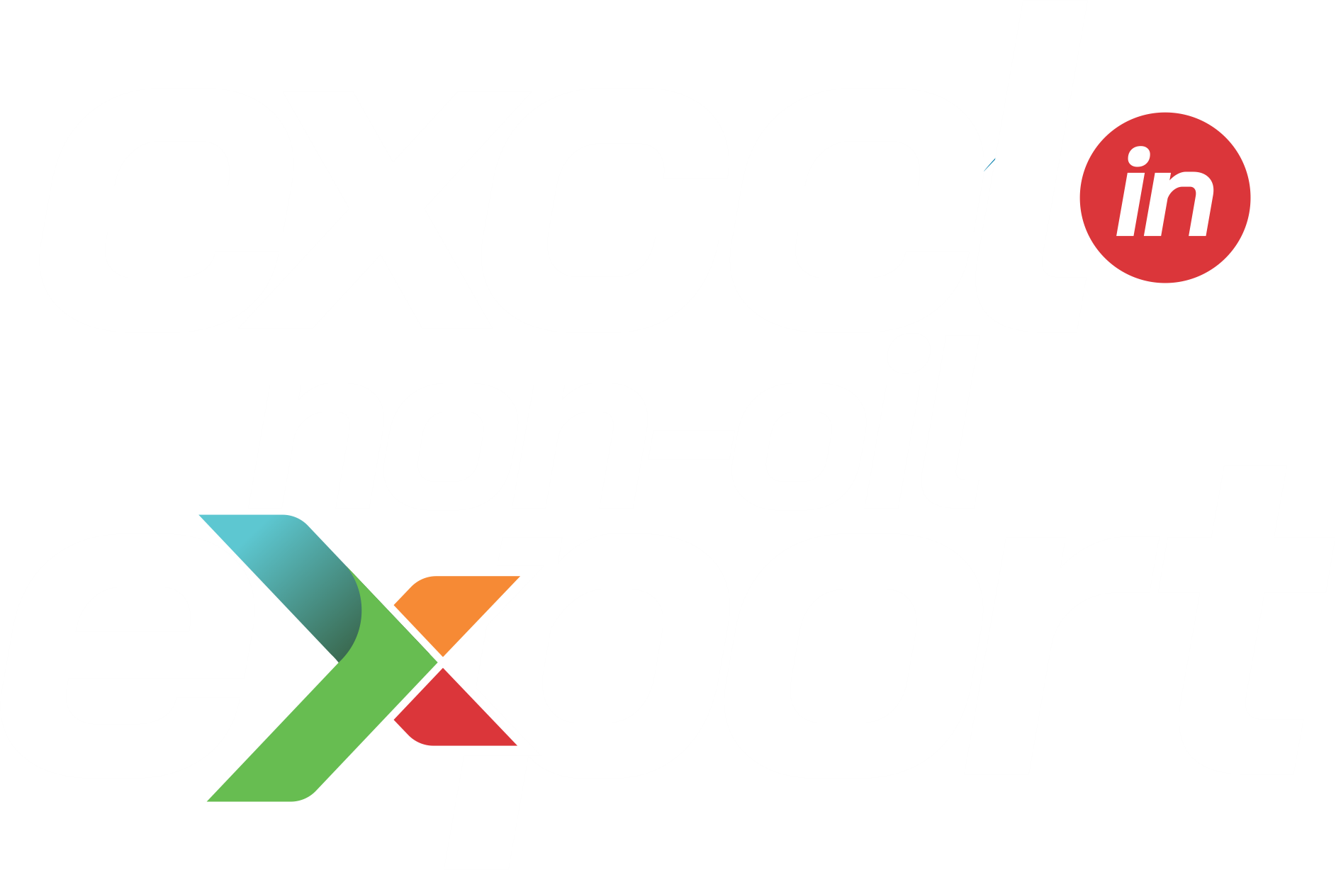 Excel in Export logo white